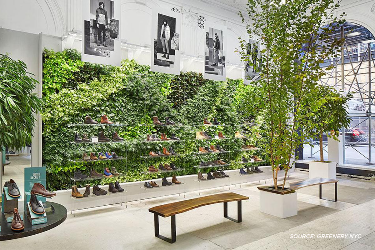 Bringing the Outside In - The Biophilic Design Revolution