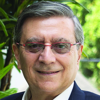 Professor Gerry Bodeker