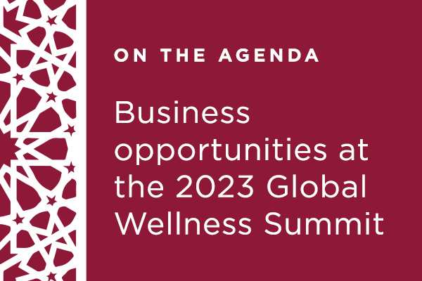 Business opportunities at the 2023 Global Wellness Summit