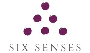 Silver Sponsor